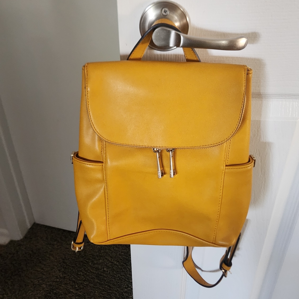 Aldo Mustard Leather Accessory